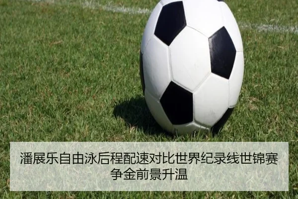 潘展乐自由泳后程配速对比世界纪录线世锦赛争金前景升温